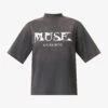 ANINE BING Painted Muse Graphic-print Organic-cotton T-shirt